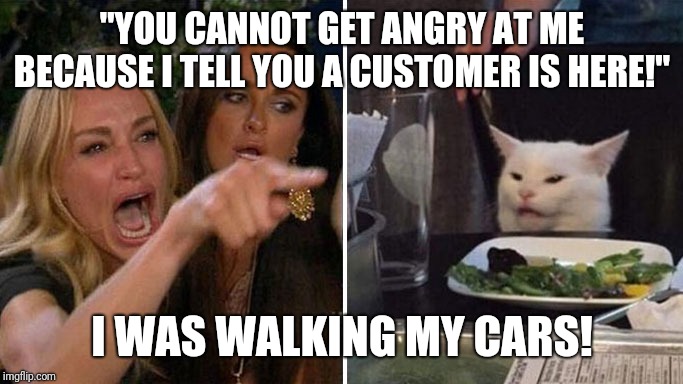 Angry lady cat | "YOU CANNOT GET ANGRY AT ME BECAUSE I TELL YOU A CUSTOMER IS HERE!"; I WAS WALKING MY CARS! | image tagged in angry lady cat | made w/ Imgflip meme maker