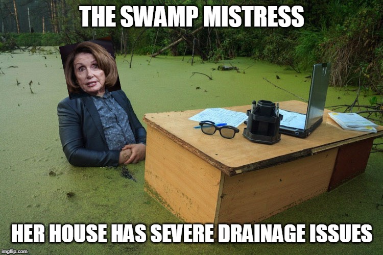 Her swamp only gets deeper | THE SWAMP MISTRESS; HER HOUSE HAS SEVERE DRAINAGE ISSUES | image tagged in memes,nancy pelosi wtf,drain the swamp | made w/ Imgflip meme maker