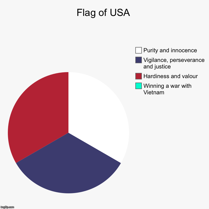 Flag of USA | Winning a war with Vietnam, Hardiness and valour, Vigilance, perseverance and justice, Purity and innocence | image tagged in charts,pie charts | made w/ Imgflip chart maker