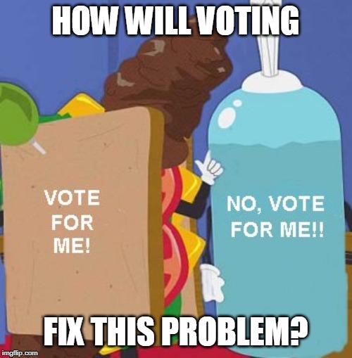 turd sandwich | HOW WILL VOTING FIX THIS PROBLEM? | image tagged in turd sandwich | made w/ Imgflip meme maker