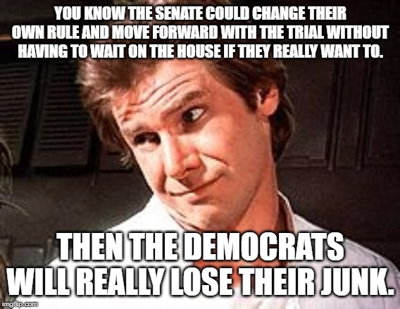 Snarky Solo | YOU KNOW THE SENATE COULD CHANGE THEIR OWN RULE AND MOVE FORWARD WITH THE TRIAL WITHOUT HAVING TO WAIT ON THE HOUSE IF THEY REALLY WANT TO. THEN THE DEMOCRATS WILL REALLY LOSE THEIR JUNK. | image tagged in snarky solo | made w/ Imgflip meme maker