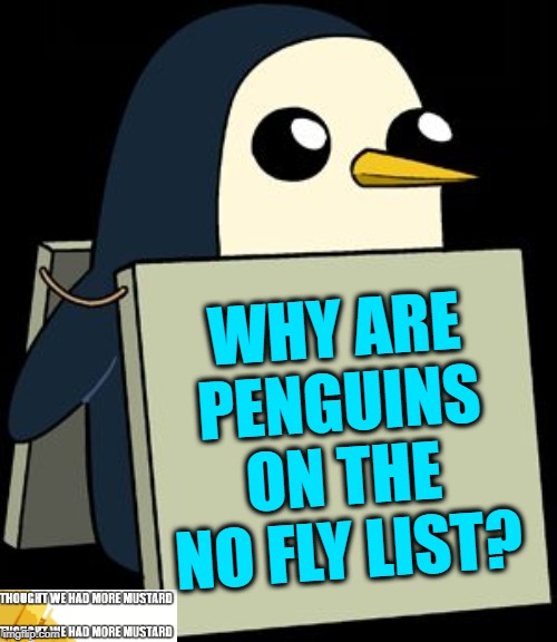 Penguins On No Fly List | WHY ARE PENGUINS ON THE NO FLY LIST? | image tagged in gunter penguin blank sign | made w/ Imgflip meme maker