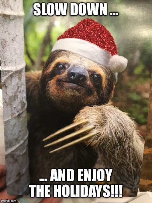 SLOW DOWN ... ... AND ENJOY THE HOLIDAYS!!! | made w/ Imgflip meme maker