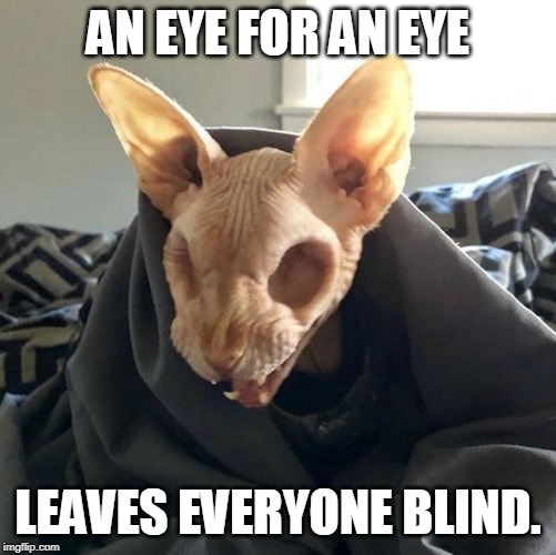 eyeless sphinx | AN EYE FOR AN EYE; LEAVES EVERYONE BLIND. | image tagged in eyeless sphinx | made w/ Imgflip meme maker