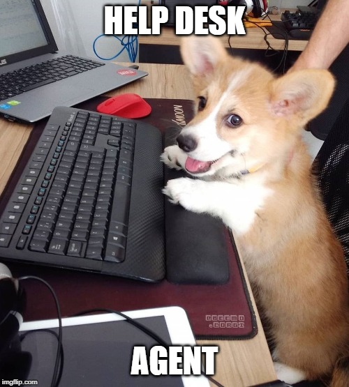 HELP DESK; AGENT | image tagged in corgi,help desk | made w/ Imgflip meme maker