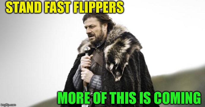 Winter Is Coming | STAND FAST FLIPPERS MORE OF THIS IS COMING | image tagged in winter is coming | made w/ Imgflip meme maker