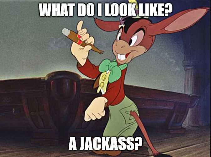 what do i look like a jackass | WHAT DO I LOOK LIKE? A JACKASS? | image tagged in jackass,politics,democrats,disney,the rise of skywalker | made w/ Imgflip meme maker
