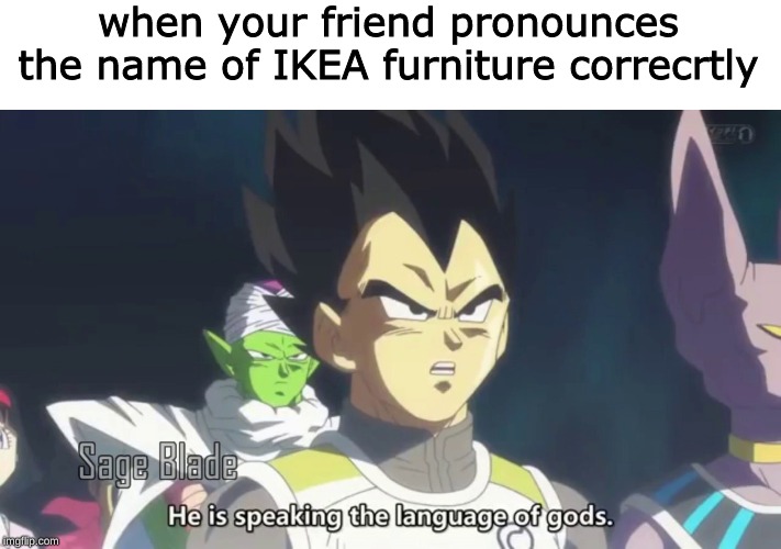 he is speaking the language of the gods | when your friend pronounces the name of IKEA furniture correcrtly | image tagged in he is speaking the language of the gods | made w/ Imgflip meme maker