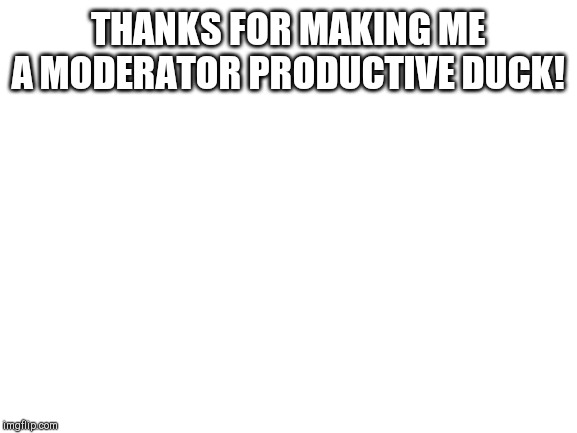 Blank White Template | THANKS FOR MAKING ME A MODERATOR PRODUCTIVE DUCK! | image tagged in blank white template | made w/ Imgflip meme maker