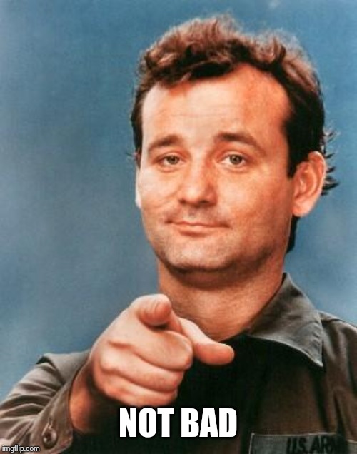 Bill Murray You're Awesome | NOT BAD | image tagged in bill murray you're awesome | made w/ Imgflip meme maker