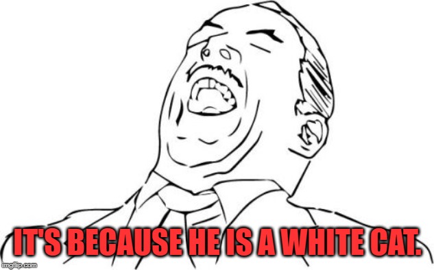 Aw Yeah Rage Face Meme | IT'S BECAUSE HE IS A WHITE CAT. | image tagged in memes,aw yeah rage face | made w/ Imgflip meme maker