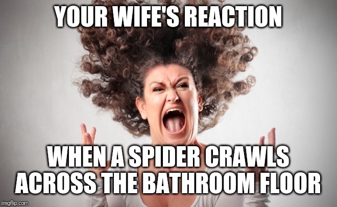 House vs Senate, Cops vs Criminals, Football vs Baseball...that is nothing. Will the animosity of wives vs spiders ever end? | YOUR WIFE'S REACTION; WHEN A SPIDER CRAWLS ACROSS THE BATHROOM FLOOR | image tagged in freak out | made w/ Imgflip meme maker