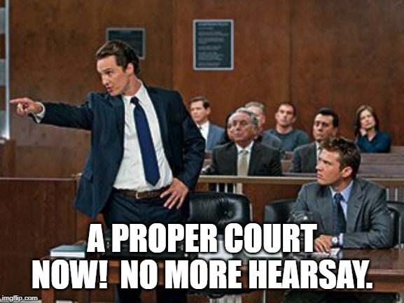 lawyer | A PROPER COURT NOW!  NO MORE HEARSAY. | image tagged in lawyer | made w/ Imgflip meme maker