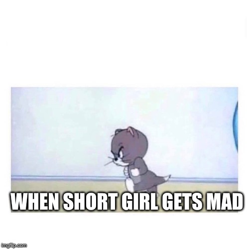 angry tom | WHEN SHORT GIRL GETS MAD | image tagged in angry tom | made w/ Imgflip meme maker