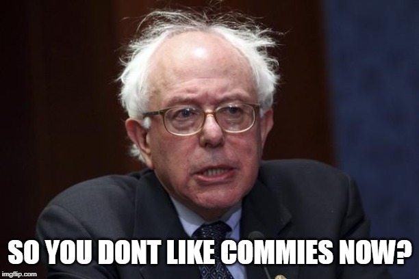 Bernie Sanders | SO YOU DONT LIKE COMMIES NOW? | image tagged in bernie sanders | made w/ Imgflip meme maker