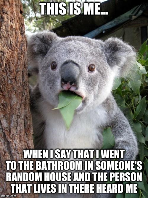Surprised Koala Meme | THIS IS ME... WHEN I SAY THAT I WENT TO THE BATHROOM IN SOMEONE'S RANDOM HOUSE AND THE PERSON THAT LIVES IN THERE HEARD ME | image tagged in memes,surprised koala | made w/ Imgflip meme maker