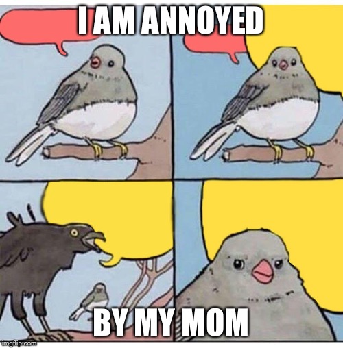 annoyed bird | I AM ANNOYED; BY MY MOM | image tagged in annoyed bird | made w/ Imgflip meme maker