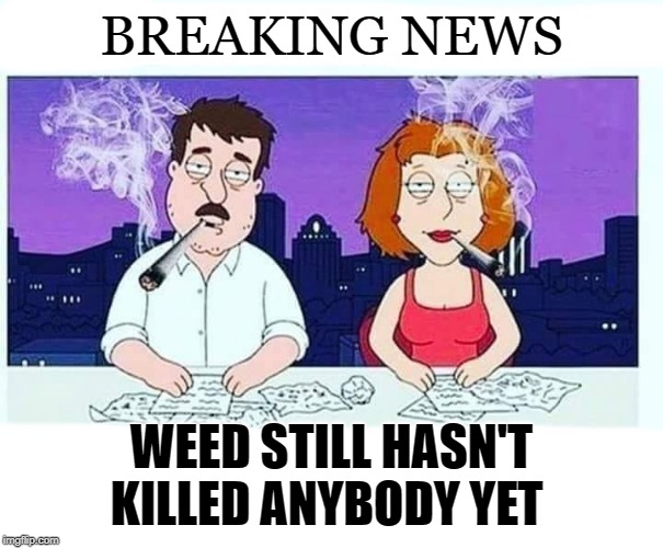 pot safer that water | BREAKING NEWS; WEED STILL HASN'T KILLED ANYBODY YET | image tagged in pot,weed,gaunga,marijuana | made w/ Imgflip meme maker