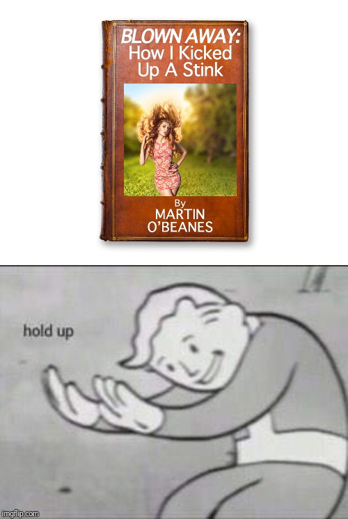 image tagged in fallout hold up | made w/ Imgflip meme maker
