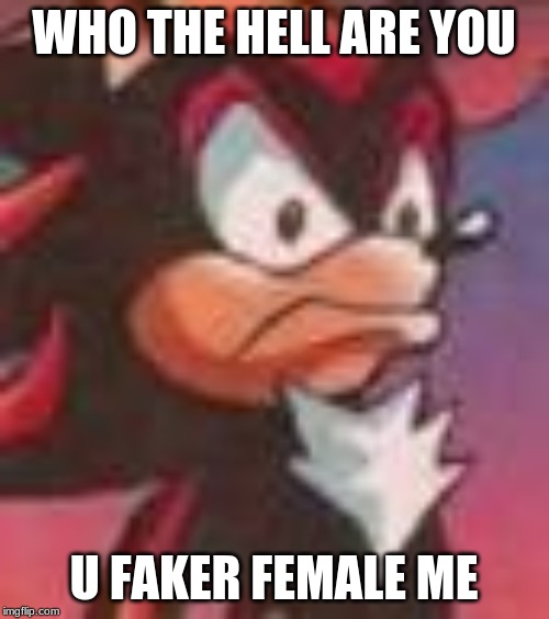 Shadow the Hedgehog | WHO THE HELL ARE YOU U FAKER FEMALE ME | image tagged in shadow the hedgehog | made w/ Imgflip meme maker
