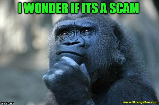 Deep Thoughts | I WONDER IF ITS A SCAM | image tagged in deep thoughts | made w/ Imgflip meme maker