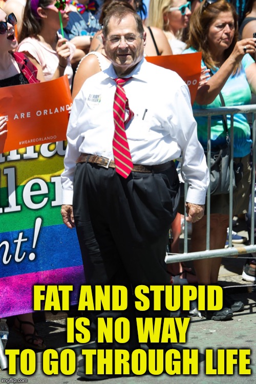jerry nadler | FAT AND STUPID IS NO WAY TO GO THROUGH LIFE | image tagged in jerry nadler | made w/ Imgflip meme maker