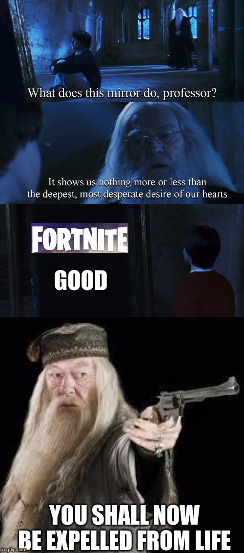 Such sacrilege will not be tolerated! | GOOD; YOU SHALL NOW BE EXPELLED FROM LIFE | image tagged in gun dumbledore,harry potter mirror | made w/ Imgflip meme maker