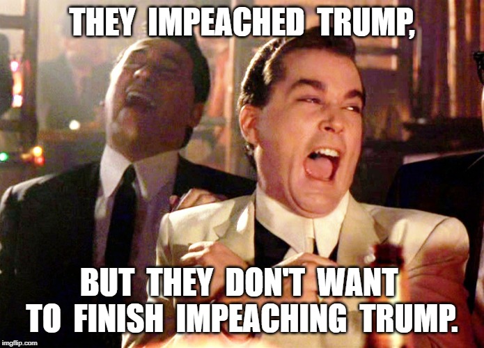 Impeachment | THEY  IMPEACHED  TRUMP, BUT  THEY  DON'T  WANT  TO  FINISH  IMPEACHING  TRUMP. | image tagged in memes,good fellas hilarious,trump,articles | made w/ Imgflip meme maker