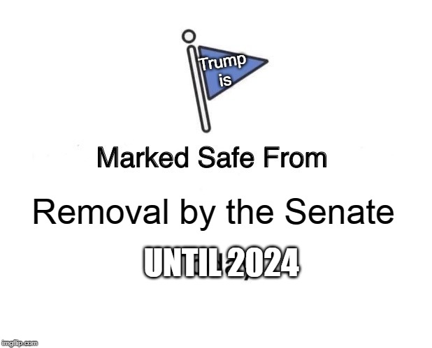 Marked Safe From | Trump
is; Removal by the Senate; UNTIL 2024 | image tagged in memes,marked safe from | made w/ Imgflip meme maker