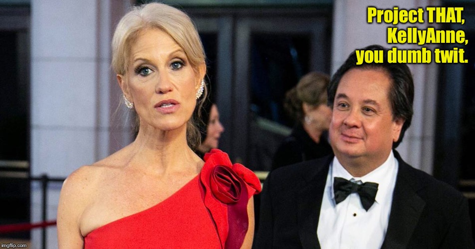 Project THAT, 
KellyAnne,
you dumb twit. | made w/ Imgflip meme maker
