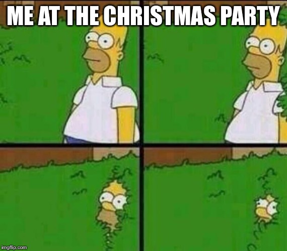 Hiding | ME AT THE CHRISTMAS PARTY | image tagged in homer simpson in bush - large | made w/ Imgflip meme maker