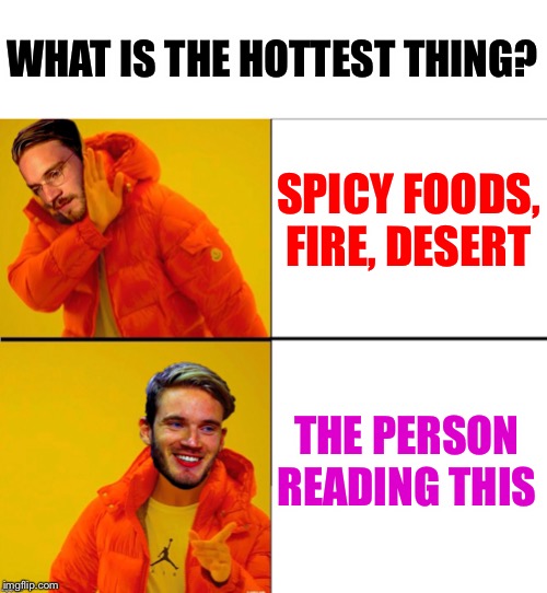 Drake Pewdiepie |  WHAT IS THE HOTTEST THING? SPICY FOODS, FIRE, DESERT; THE PERSON READING THIS | image tagged in drake pewdiepie | made w/ Imgflip meme maker