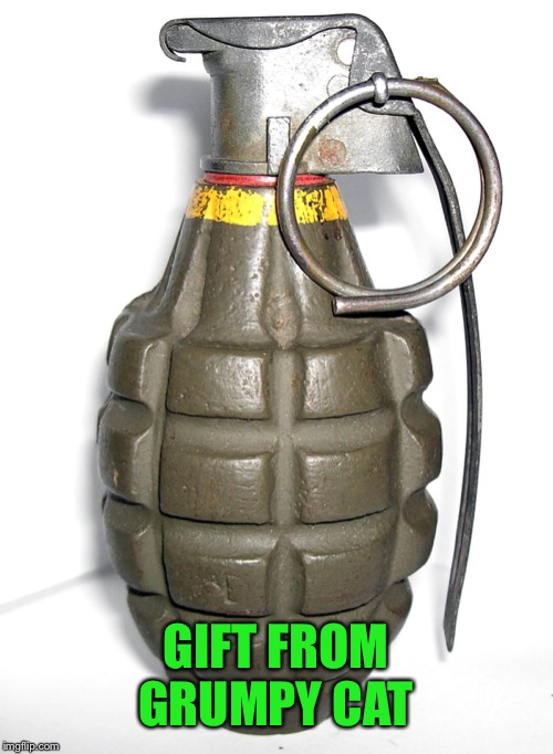 grenade | GIFT FROM GRUMPY CAT | image tagged in grenade | made w/ Imgflip meme maker