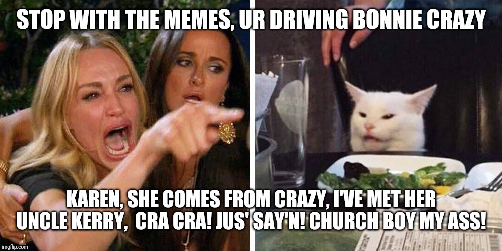 Smudge the cat | STOP WITH THE MEMES, UR DRIVING BONNIE CRAZY; KAREN, SHE COMES FROM CRAZY, I'VE MET HER UNCLE KERRY,  CRA CRA! JUS' SAY'N! CHURCH BOY MY ASS! | image tagged in smudge the cat | made w/ Imgflip meme maker