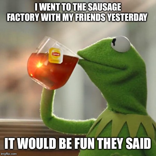 Sausage factory | I WENT TO THE SAUSAGE FACTORY WITH MY FRIENDS YESTERDAY; IT WOULD BE FUN THEY SAID | image tagged in memes,but thats none of my business,kermit the frog,it would be fun they said,funny | made w/ Imgflip meme maker