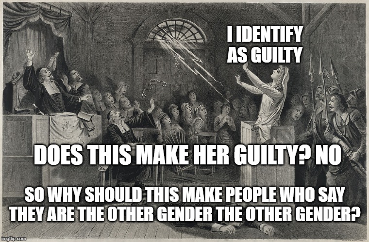 Salem Witch Trial | I IDENTIFY AS GUILTY; DOES THIS MAKE HER GUILTY? NO; SO WHY SHOULD THIS MAKE PEOPLE WHO SAY THEY ARE THE OTHER GENDER THE OTHER GENDER? | image tagged in salem witch trial | made w/ Imgflip meme maker