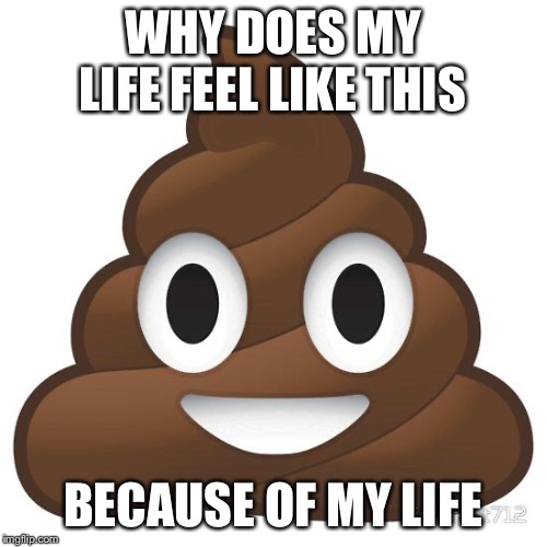poop | WHY DOES MY LIFE FEEL LIKE THIS; BECAUSE OF MY LIFE | image tagged in poop | made w/ Imgflip meme maker
