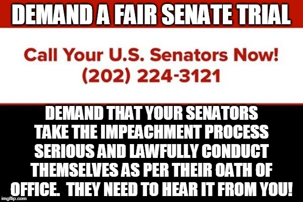 DEMAND A FAIR SENATE TRIAL | DEMAND A FAIR SENATE TRIAL; DEMAND THAT YOUR SENATORS TAKE THE IMPEACHMENT PROCESS SERIOUS AND LAWFULLY CONDUCT THEMSELVES AS PER THEIR OATH OF OFFICE.  THEY NEED TO HEAR IT FROM YOU! | image tagged in demand senator,impeach,trump,fair process,oath of office,voice of the people | made w/ Imgflip meme maker