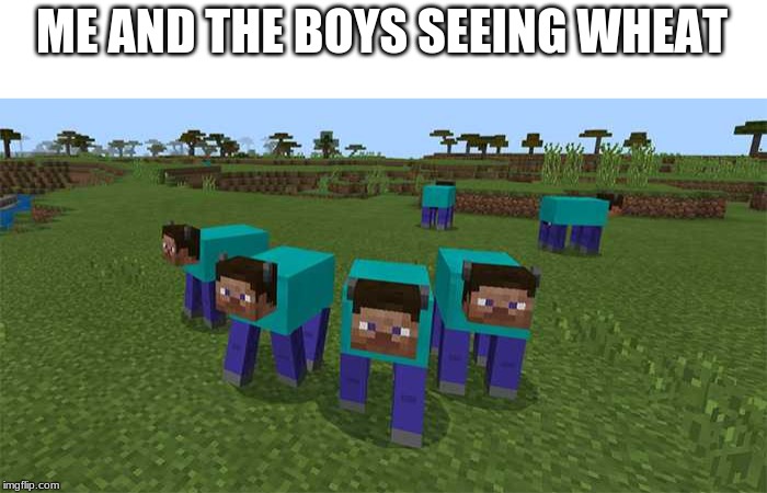 me and the boys | ME AND THE BOYS SEEING WHEAT | image tagged in me and the boys | made w/ Imgflip meme maker
