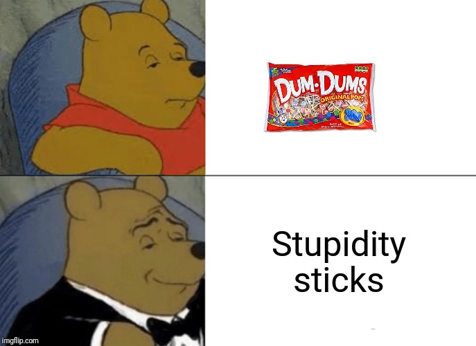 Tuxedo Winnie The Pooh | Stupidity sticks | image tagged in memes,tuxedo winnie the pooh | made w/ Imgflip meme maker