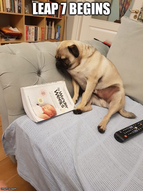 pug template comments