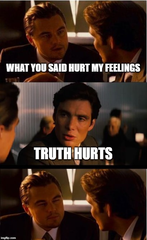 Inception Meme | WHAT YOU SAID HURT MY FEELINGS; TRUTH HURTS | image tagged in memes,inception | made w/ Imgflip meme maker