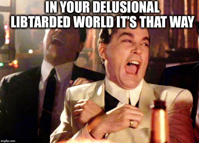 Good Fellas Hilarious Meme | IN YOUR DELUSIONAL LIBTARDED WORLD IT’S THAT WAY | image tagged in memes,good fellas hilarious | made w/ Imgflip meme maker