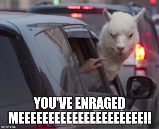 Angry Alpaca | YOU'VE ENRAGED MEEEEEEEEEEEEEEEEEEEEE!! | image tagged in alpaca | made w/ Imgflip meme maker