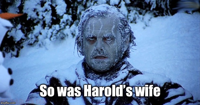 Freezing cold | So was Harold’s wife | image tagged in freezing cold | made w/ Imgflip meme maker