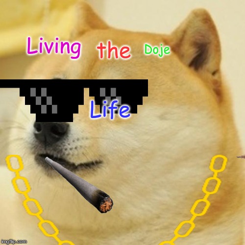 OH Yeahhhh | Living; the; Doje; Life | image tagged in doge | made w/ Imgflip meme maker