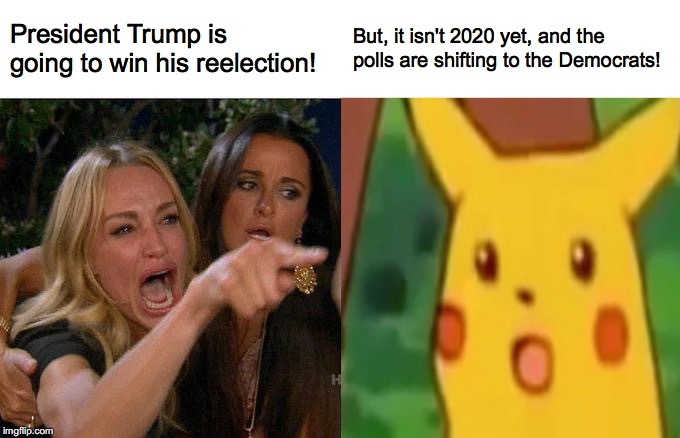 The people over at the politics stream vs. me | President Trump is going to win his reelection! But, it isn't 2020 yet, and the polls are shifting to the Democrats! | image tagged in memes,woman yelling at cat,surprised pikachu,political meme,donald trump,election 2020 | made w/ Imgflip meme maker