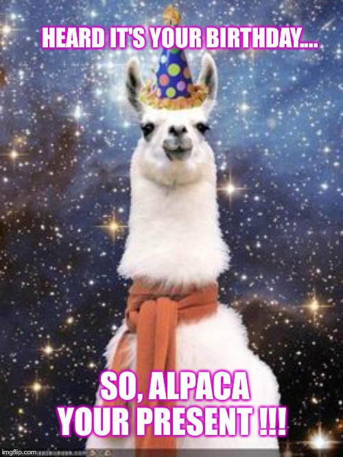Happy Birthday Alpaca | HEARD IT'S YOUR BIRTHDAY.... SO, ALPACA YOUR PRESENT !!! | image tagged in happy birthday alpaca | made w/ Imgflip meme maker