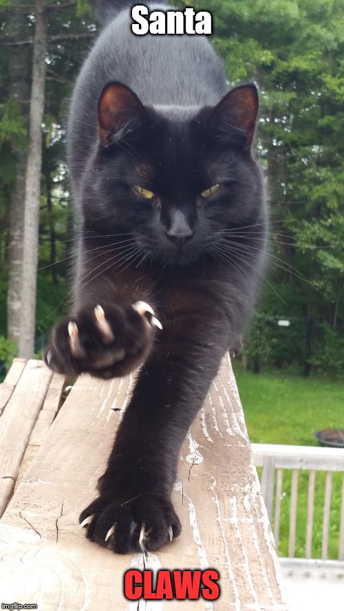 black cat claws pissed | Santa CLAWS | image tagged in black cat claws pissed | made w/ Imgflip meme maker