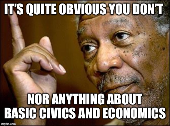 This Morgan Freeman | IT’S QUITE OBVIOUS YOU DON’T NOR ANYTHING ABOUT BASIC CIVICS AND ECONOMICS | image tagged in this morgan freeman | made w/ Imgflip meme maker